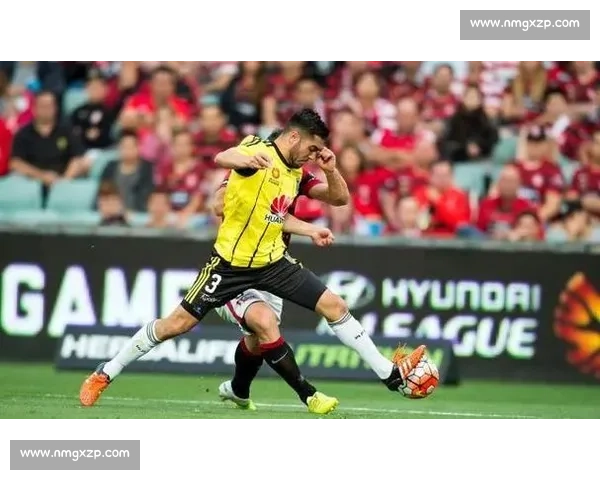亚冠焦点对决柔佛VS水源强强碰撞争夺关键胜利之夜走势解析前瞻