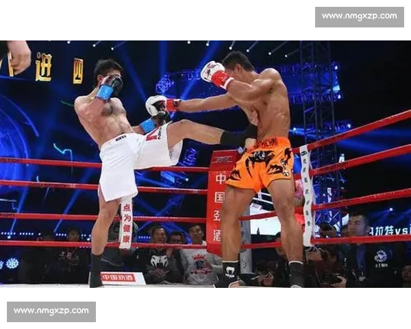 以西提猜对决一龙巅峰之战谁才是真正格斗王者擂台历史性碰撞全面解析