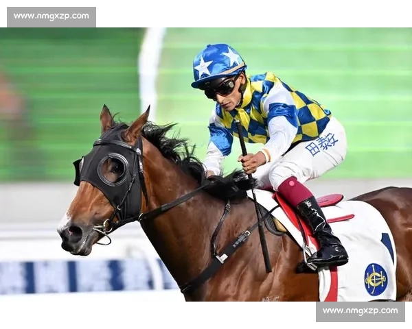 中国队硬撼美国梦之队一场力量与信念的巅峰对决篮坛历史的焦点之战